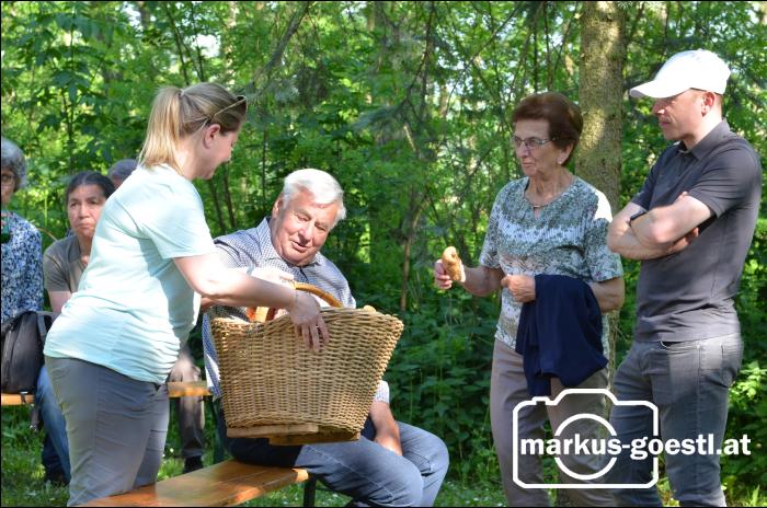 Maiandacht Pfarrverband