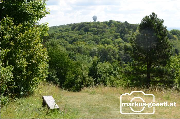 Blick zum Buschberg