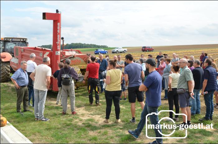 Kürbistag Kreuzstetten