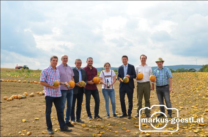 Kürbistag Kreuzstetten