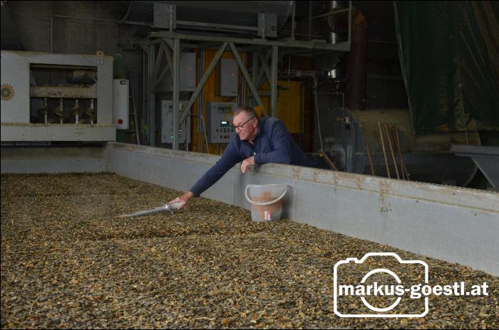 Kürbiskraft Weinviertel