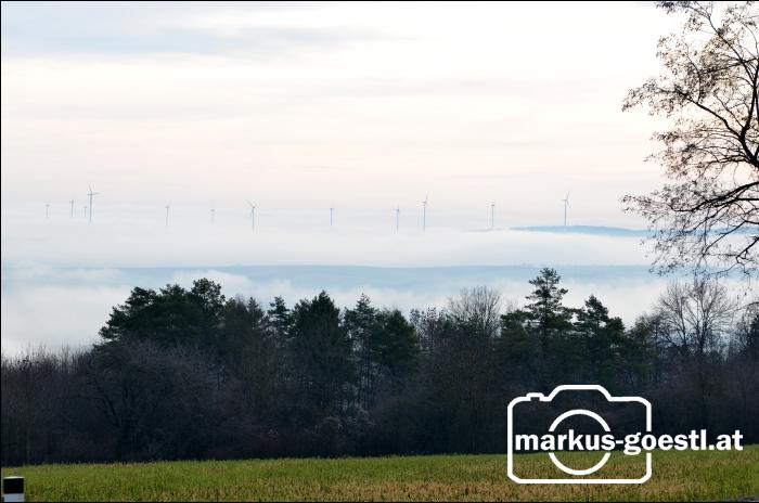 Windräder im Nebel