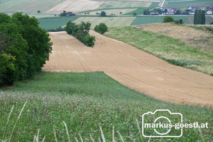 Felder bei Eichenbrunn