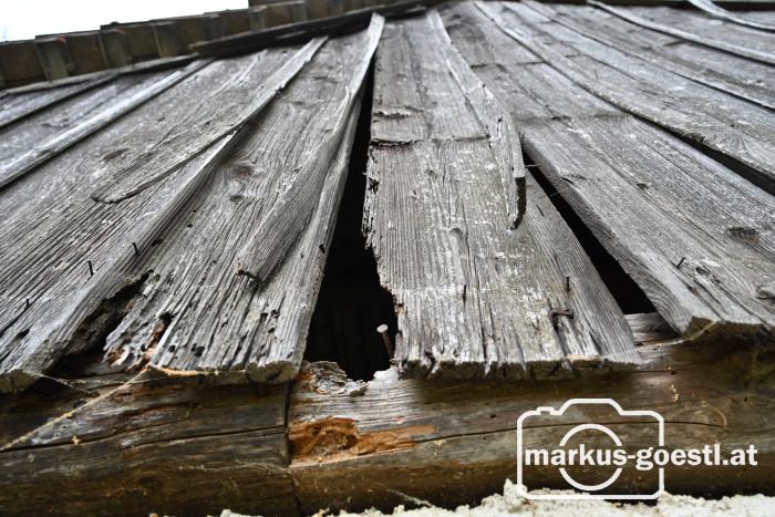 morsches Holz