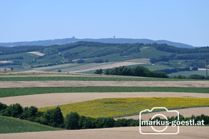 Blick ins Weinviertel