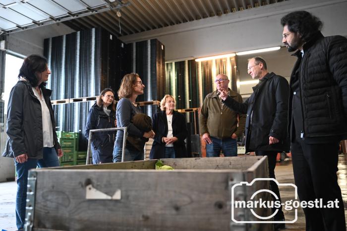 Betriebsbesuch Schön Gemüse