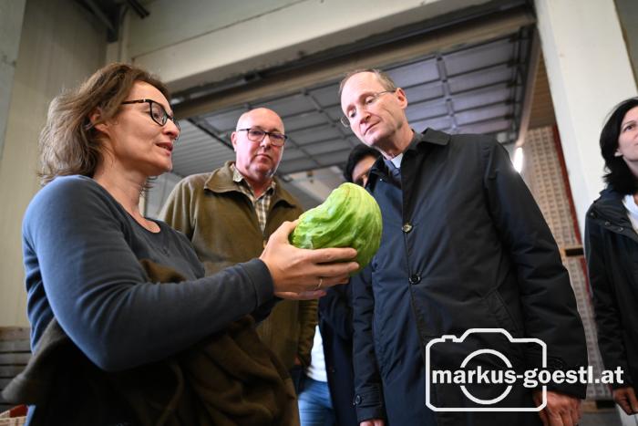 Betriebsbesuch Schön Gemüse