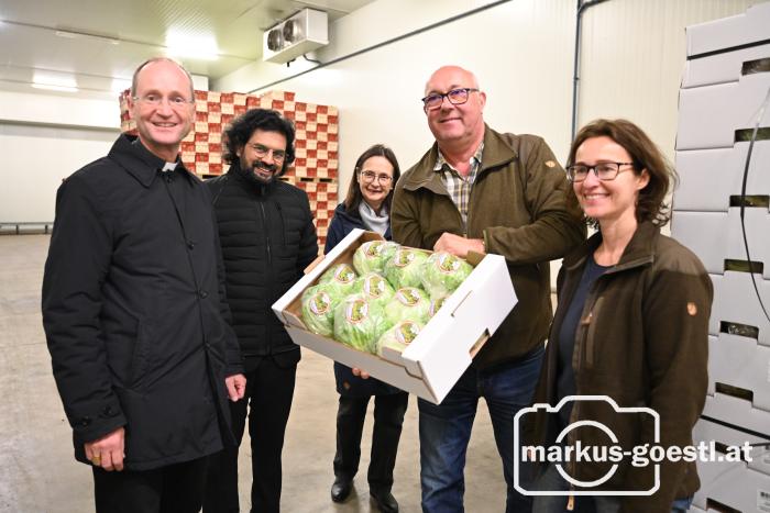 Betriebsbesuch Schön Gemüse