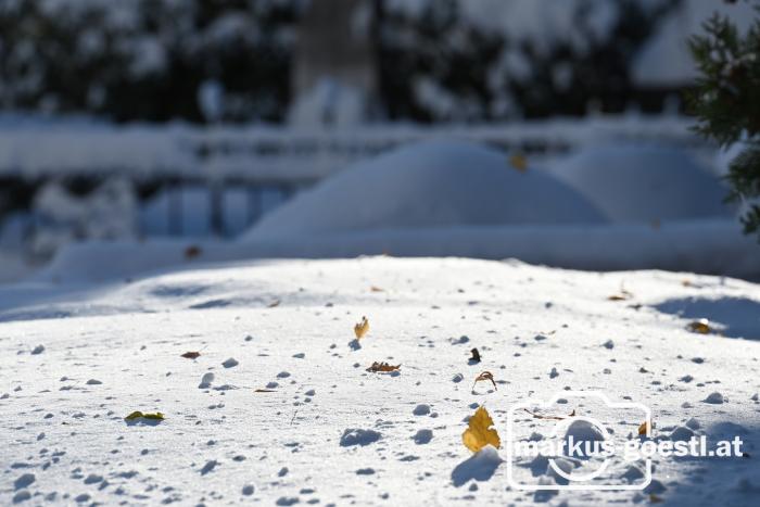 Winter_Schneedecke