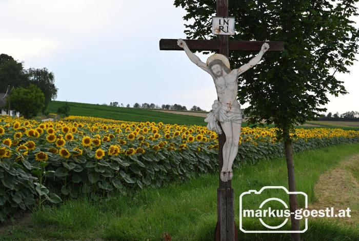 Kreuz Martinsdorf